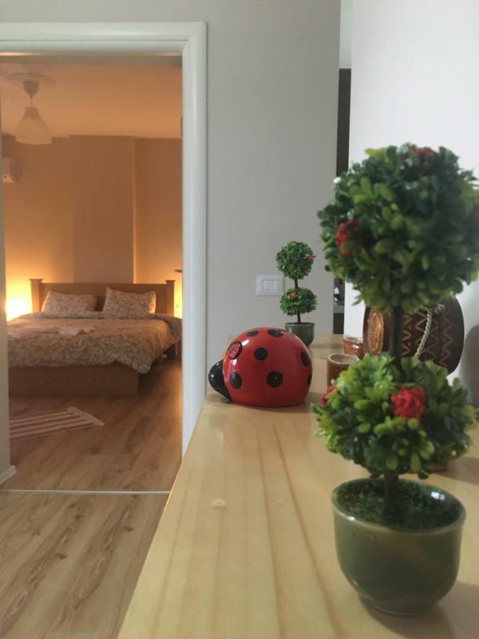 Trako'S Home كورتشي المظهر الخارجي الصورة
